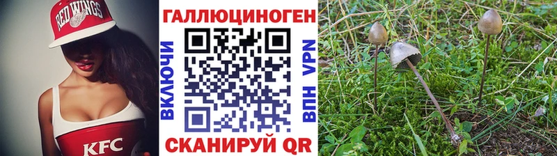 Псилоцибиновые грибы MAGIC MUSHROOMS  Жигулёвск 